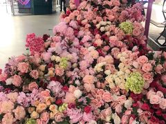 -杉杉奥特莱斯广场(哈尔滨店)
