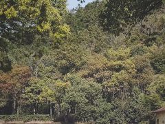 -杭州野生动物世界