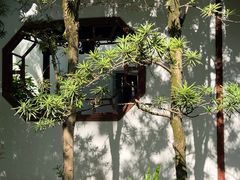-上海醉白池公园