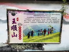 -王顺山国家森林公园