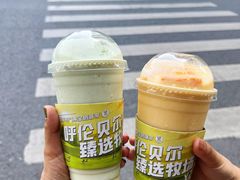 -茉酸奶(春熙路店)