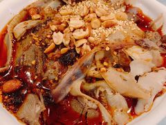 凉拌肺片-曾牛肉