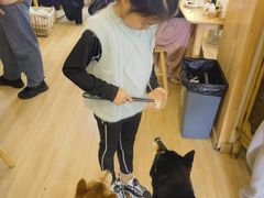 -柴の食堂·日式家庭料理·熊之肆(大学路店)