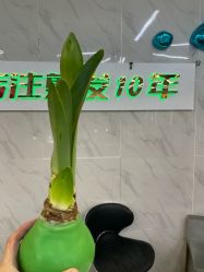 点击看大图 -秦·专注剪发