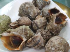 -四海蒸鲜蒸汽海鲜自助(北戴河店)