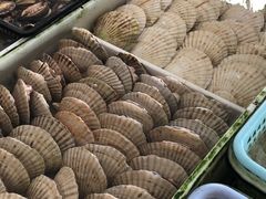 -南沙十九涌渔人码头-南门