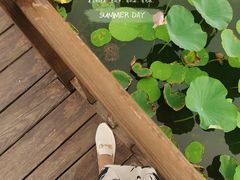 -天津东丽湖风景区