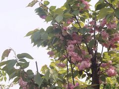 -九里河湿地公园