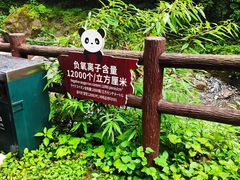 -西岭雪山大飞水景区