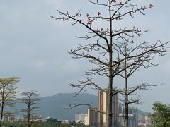-飞来湖湿地公园