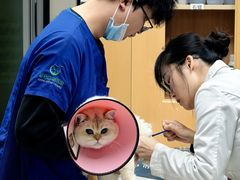 -联合动物医院(光谷诊疗中心)