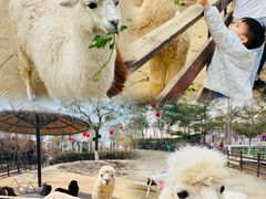 -盈香心动乐园