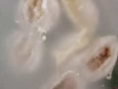 -冰冰酱老味刨冰绵绵冰(爱国道店)