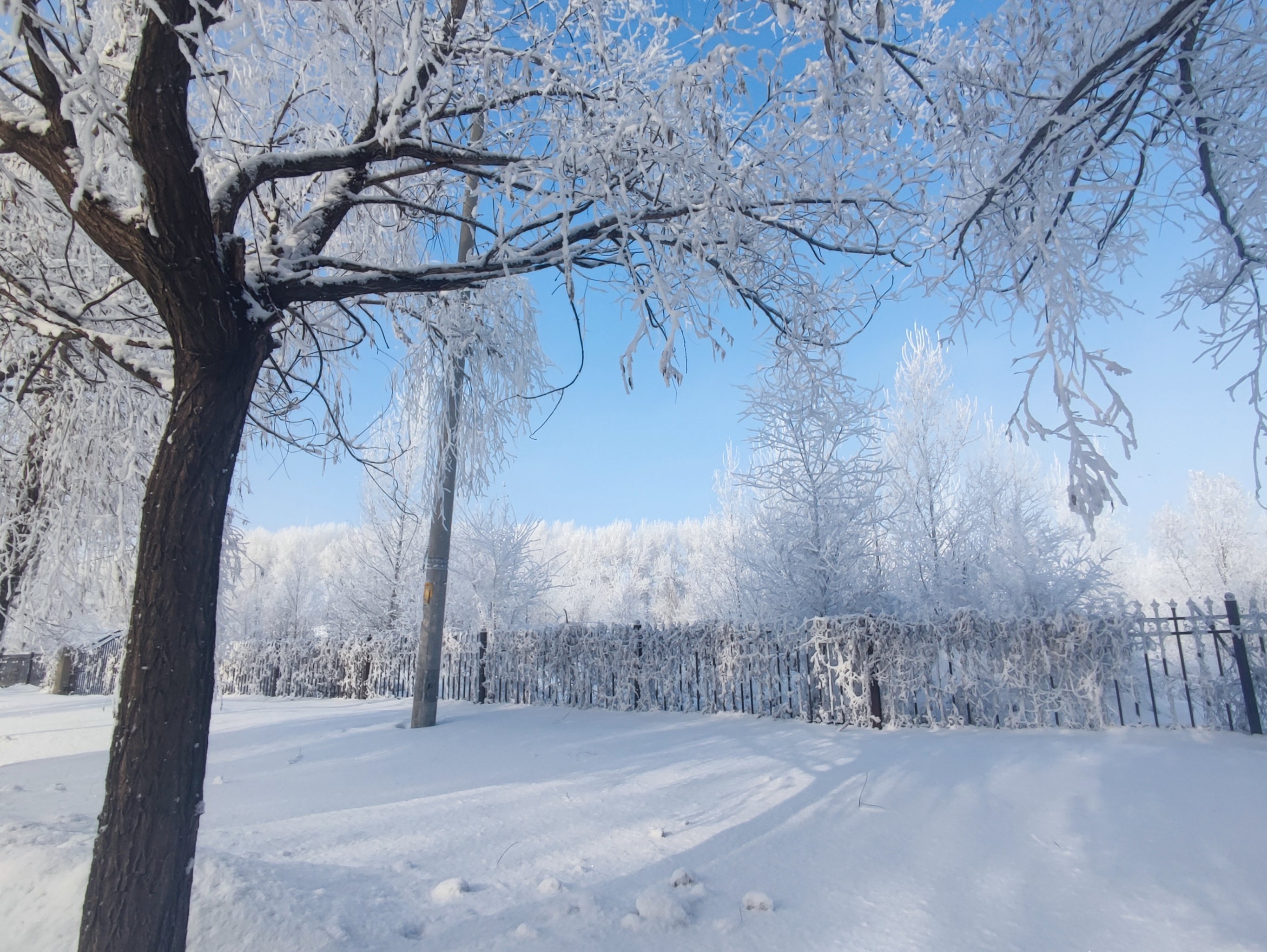 冰雪风景图片图片