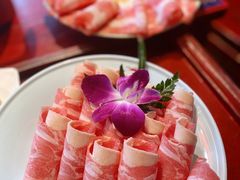 -袁老四重庆老火锅(桐梓坡店)