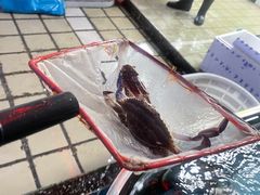 -新农都水产市场