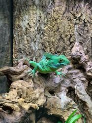 -酷嗒动物文化乐园(cutezoo西溪乐天城店)