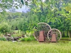 -佛冈森波拉度假区