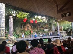 -海南槟榔谷黎苗文化旅游区