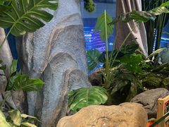 -吉布鲁牛排海鲜自助(温江合生汇店)