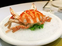 -潮府馆·非遗潮州菜·世纪公园(新国际博览中心店)