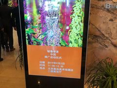 -北京A·C·Embassy酒店(三里屯工人体育场地铁站店)