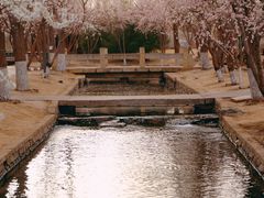 -三里河公园