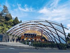 -怀托摩萤火虫洞