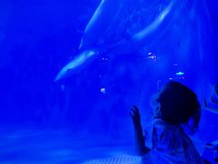 -多彩贵州城极地海洋世界