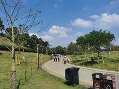 -马峦山郊野公园