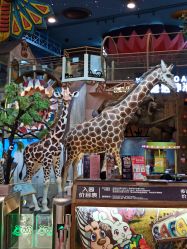 -卡通尼·Safari非洲探索乐园·生日会(金桥国际商业广场店)