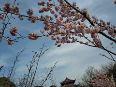 -江苏科技大学(梦溪校区)