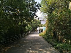 -上海佘山国家森林公园西佘山园