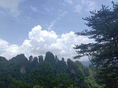-光雾山旅游景区