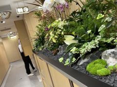 -海底捞火锅(赛格国际购物中心店)