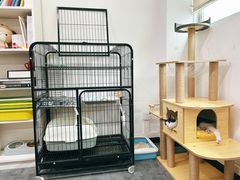 -创凡宠物医院·骨专科  猫科中心(西乡分院)