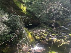 -陕西省红河谷森林公园