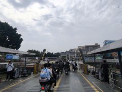 -长洲渡车船码头