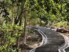 -火炉山森林公园