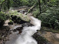 -莫里热带雨林景区