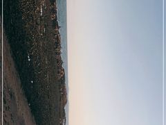 -八大关景区