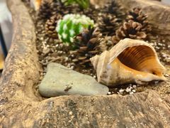 -一杯海(国际海水浴场店)