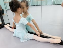 -昕艺尚皇家芭蕾舞蹈中心
