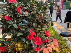 -广州保利时光里(建设大马路店)