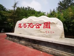 -莲花池公园