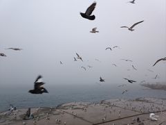 -星海广场