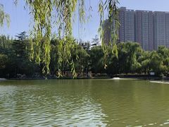 -西安市长乐公园