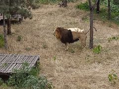 -石家庄市动物园