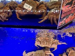 -蟹道乐(道顿堀本店)