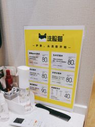 -洗脸猫·洗脸吧